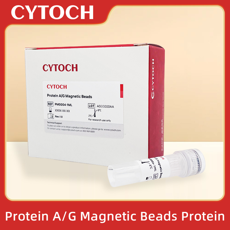 Protein A/g Magnetic Beads 蛋白A/g磁珠