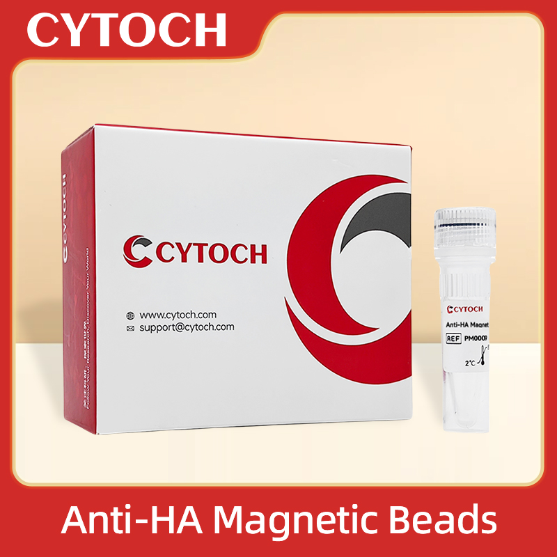 Anti-HA Magnetic Beads Anti-HA 抗HA磁珠