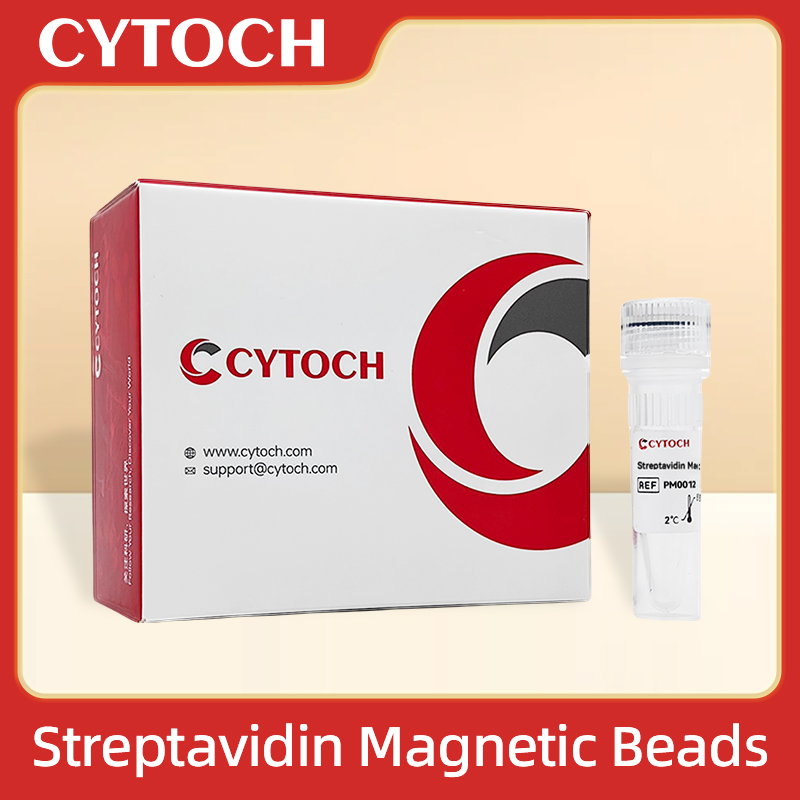 Streptavidin Magnetic Beads 链霉亲和素磁珠