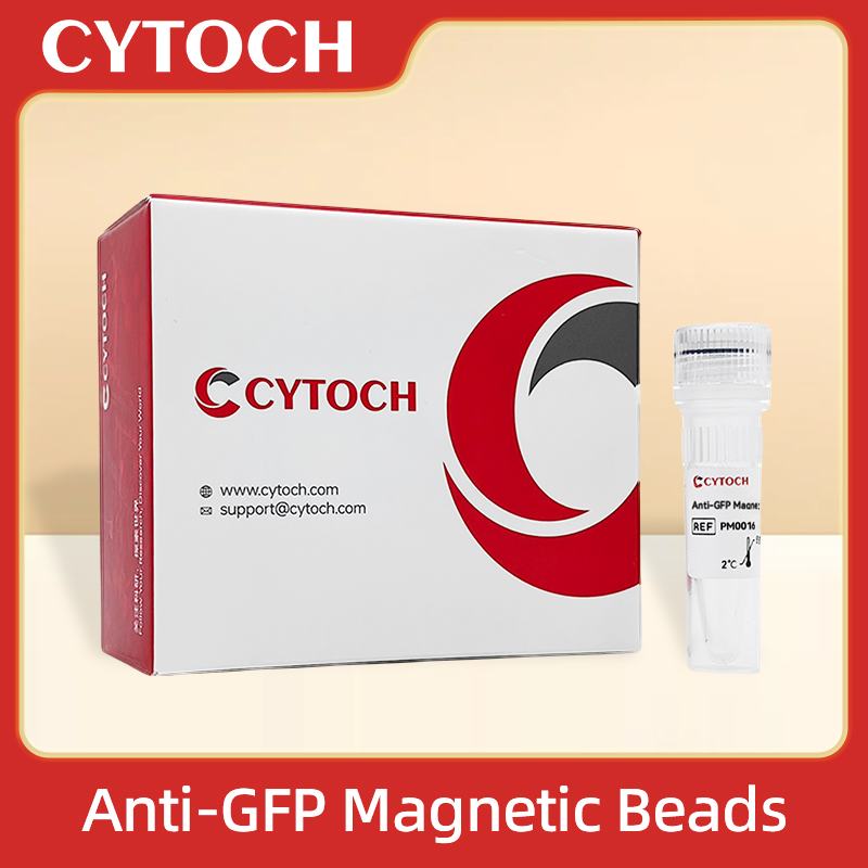Anti-GFP Magnetic Beads Anti-GFP 抗gFP磁珠